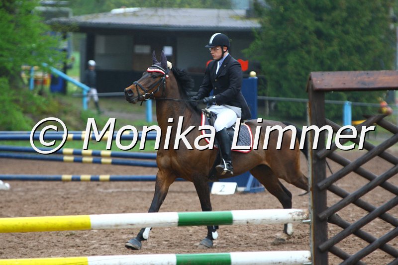 005L4793_Celestino_Spring  Ax.JPG